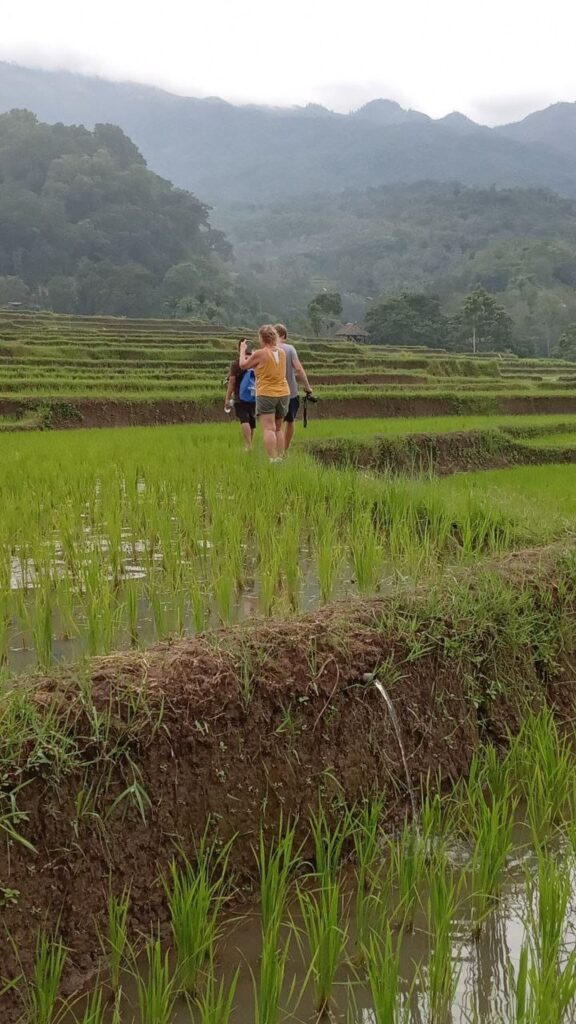 bangket bayan